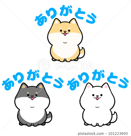 柴犬和謝謝你 3 件套 柴犬和謝謝你 3 件套 101223693