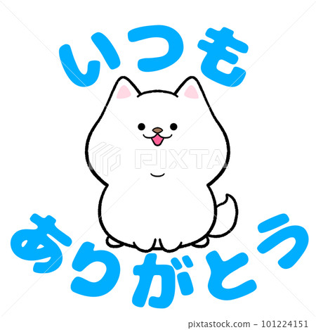 Shirashiba always thank you 101224151