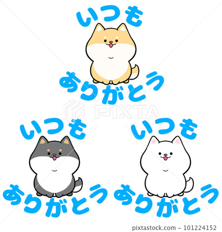 Shiba Inu always thank you 3-piece set 101224152