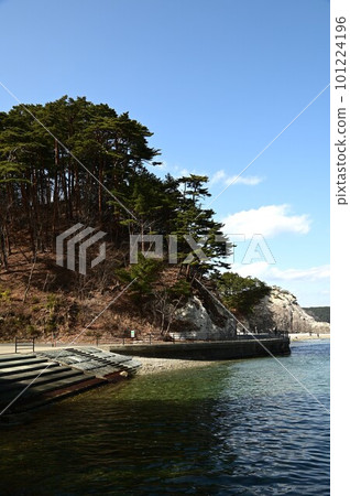 春天Jodogahama 101224196