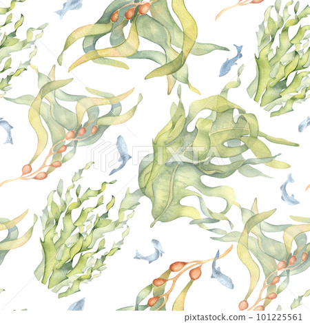 Seamless pattern of colorful sea plants watercolor illustration isolated on white. Laminaria, kelp, herb seaweeds hand drawn. Design for background, textile, packaging, wrapping, marine collection 101225561