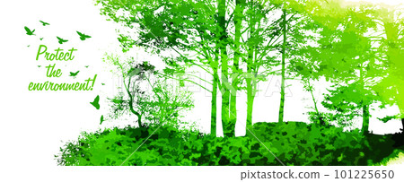 Silhouette green trees in the forest. Vector illustration Silhouette green trees in the forest. Vector illustration 101225650