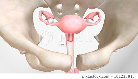 Chlamydia is a sexually transmitted infection caused by Chlamydia trachomatis bacteria. Chlamydia is a sexually transmitted infection caused by Chlamydia trachomatis bacteria. 101225913