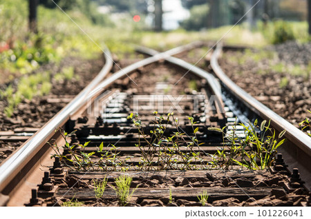 Endless railroad tracks illuminated by the setting sun Endless railroad tracks illuminated by the setting sun 101226041
