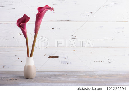 Mockup wooden background with purple calla lilly 101226594