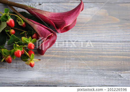 Mockup wooden background with purple calla lilly Mockup wooden background with purple calla lilly 101226596