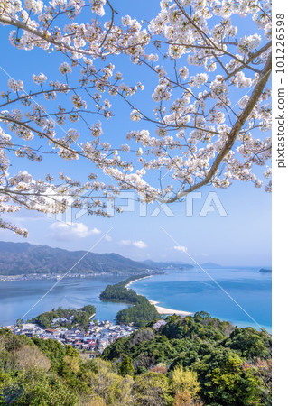 Amanohashidate in spring Amanohashidate in spring 101226598