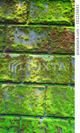 Landscape of green mossy fence blocks 101226691