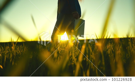 Farmer silhouette tablet field summer. harvest sunset agriculture farming business. work man wheat display ground soil fresh plant asian. happy human market ripe corn young senior vertical looking. Farmer silhouette tablet field summer. harvest sunset agriculture farming business. work man wheat display ground soil fresh plant asian. happy human market ripe corn young senior vertical looking. 101226928