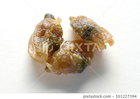 Tsukudani of clams 101227394