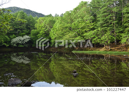 藤原起點的慶長山登山 101227447