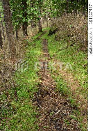 藤原起點的慶長山登山 藤原起點的慶長山登山 101227457
