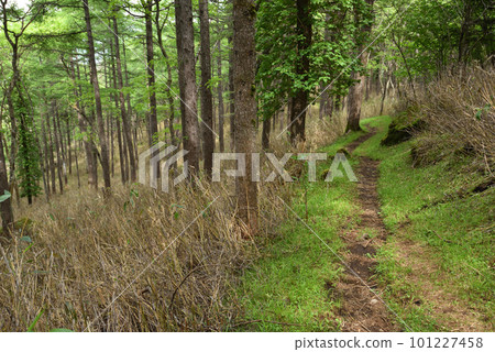藤原起點的慶長山登山 101227458