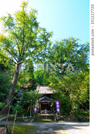 Koheiji Temple 101227720