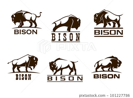 Bison buffalo symbols for company, corporate business or brand, vector bull ox icons. Bison buffalo silhouette of wild bull animal with raised hoof for corporation, sport, military or hunting store Bison buffalo symbols for company, corporate business or brand, vector bull ox icons. Bison buffalo silhouette of wild bull animal with raised hoof for corporation, sport, military or hunting store 101227786