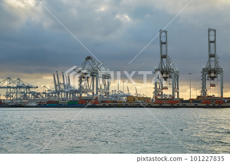 Container Dock in Rotterdam 101227835