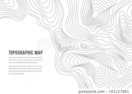 Topographic map. Grid, texture, relief contour. Sea navigation contour backdrop, ocean or land territory topography vector graphic background or cartography contour topographical pattern wallpaper Topographic map. Grid, texture, relief contour. Sea navigation contour backdrop, ocean or land territory topography vector graphic background or cartography contour topographical pattern wallpaper 101227861