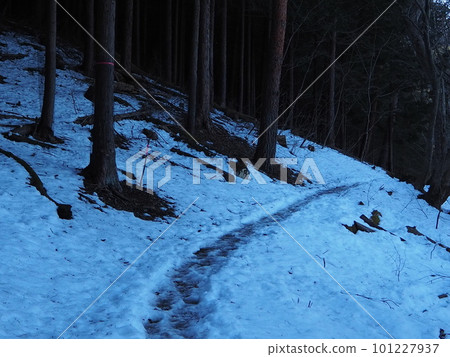 Takahata mountain trail 101227937
