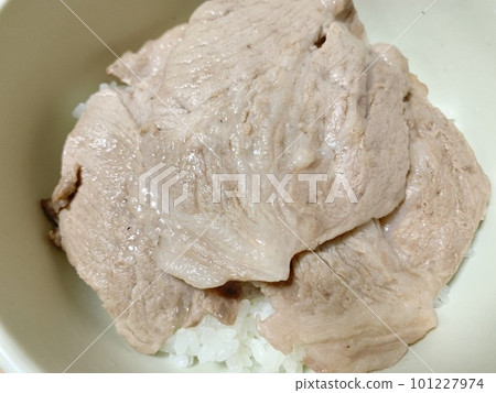 Pork bowl served in a white bowl photo material Pork bowl served in a white bowl photo material 101227974