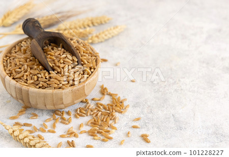 Bowl of raw dry rye grain with a wooden spoon on white table close up, copy space Bowl of raw dry rye grain with a wooden spoon on white table close up, copy space 101228227