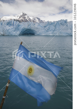 Argentine flag in Perito Moreno Glacier, Los Glaciares National Park, Santa Cruz Province, Patagonia Argentina. Argentine flag in Perito Moreno Glacier, Los Glaciares National Park, Santa Cruz Province, Patagonia Argentina. 101229046