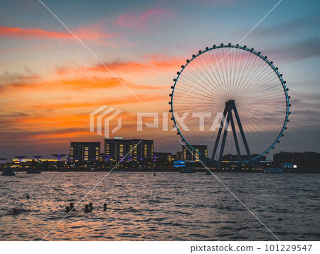 View of Marina JBR beach and the Ain Dubai Giant ferris Wheel in Meraas Dubai, United Arab Emirates View of Marina JBR beach and the Ain Dubai Giant ferris Wheel in Meraas Dubai, United Arab Emirates 101229547