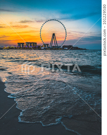 View of Marina JBR beach and the Ain Dubai Giant ferris Wheel in Meraas Dubai, United Arab Emirates View of Marina JBR beach and the Ain Dubai Giant ferris Wheel in Meraas Dubai, United Arab Emirates 101229580