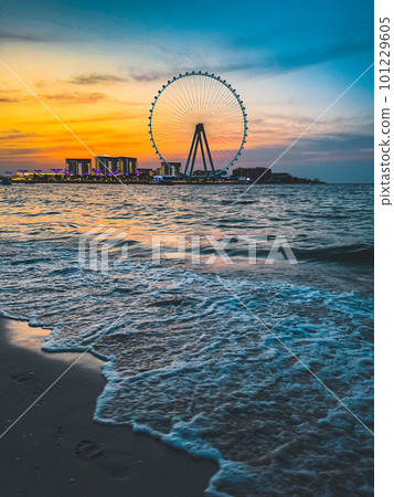 View of Marina JBR beach and the Ain Dubai Giant ferris Wheel in Meraas Dubai, United Arab Emirates View of Marina JBR beach and the Ain Dubai Giant ferris Wheel in Meraas Dubai, United Arab Emirates 101229605