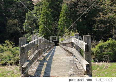 wooden bridge at the entrance to the forest wooden bridge at the entrance to the forest 101229722