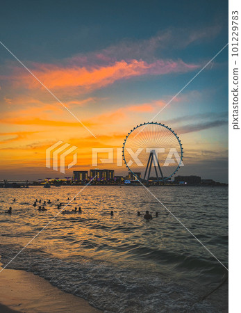 View of Marina JBR beach and the Ain Dubai Giant ferris Wheel in Meraas Dubai, United Arab Emirates View of Marina JBR beach and the Ain Dubai Giant ferris Wheel in Meraas Dubai, United Arab Emirates 101229783