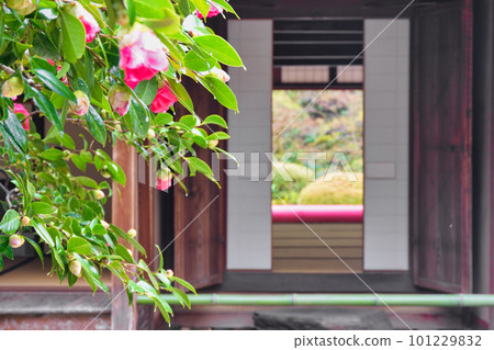 Shisen-do Temple after the rain in Kyoto Shisen-do Temple after the rain in Kyoto 101229832