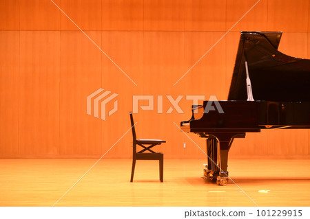 Concert, grand piano Concert, grand piano 101229915