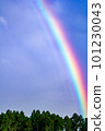 Rainbow over blue sky 101230043