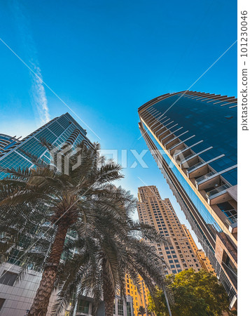 Dubai Marina, harbour, cruise boat and canal promenade view at sunset, in Dubai, United Arab 101230046