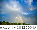 A rainbow over a forest 101230049