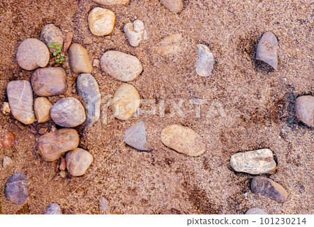 A stone on the beach on a calm day [horizontal] 101230214