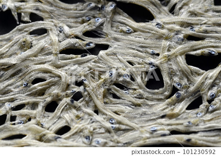 Tatami Watashi Tatami Watashi 101230592