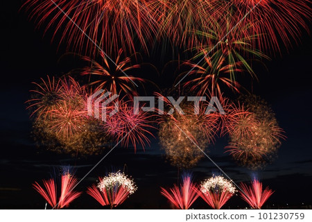 Fireworks display, Utsunomiya city, Tochigi prefecture 101230759