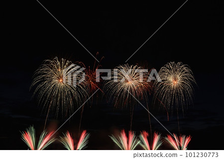 Fireworks display, Utsunomiya city, Tochigi prefecture 101230773