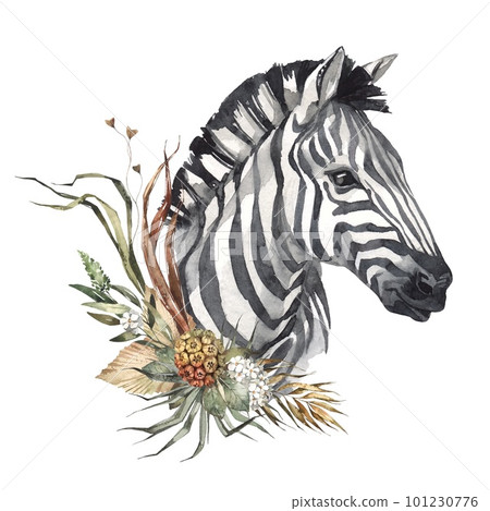 Watercolor zebra portrait with flowers. African animlas clipart. World Zoo nature illustration for kids products. World fauna and flora. Hand drawn animal head with dried bouquet print on transparent Watercolor zebra portrait with flowers. African animlas clipart. World Zoo nature illustration for kids products. World fauna and flora. Hand drawn animal head with dried bouquet print on transparent 101230776