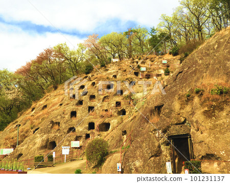 One Hundred Caves of Yoshimi in a Certain Spring One Hundred Caves of Yoshimi in a Certain Spring 101231137
