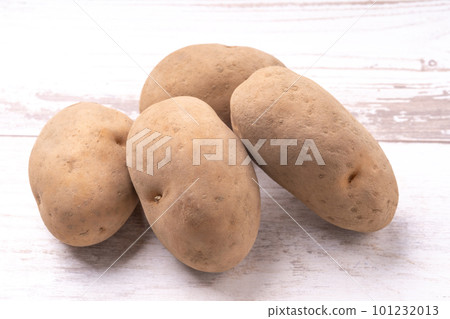 Potato varieties awaiting the Inca 101232013