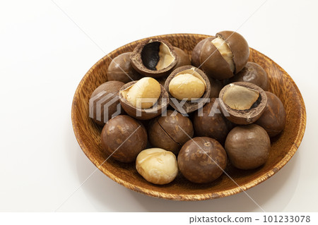White back shelled macadamia nuts in a wooden plate 101233078