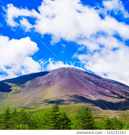 Mount Asama, east side, active volcano [Karuizawa's tourist attractions] 101233161