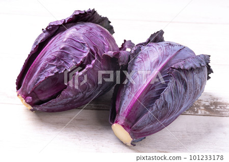 紫甘藍 紫甘藍 101233178