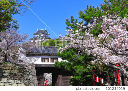[和歌山縣]晴天櫻花盛開的和歌山城（天守閣和岡口門） 101234019