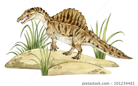 Watercolor dinosaur illustration with prehistoric landscape. Hand drawn Spinosaurus on the sand with grass. Detailed dino clipart for kids products. Children Encyclopedia of ancient animals. PNG file 101234481