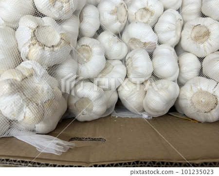 大蒜銷售區 大蒜銷售區 101235023