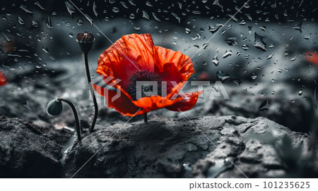 Red poppy as a symbol of memory for the fallen in the war. VE-Day, World War remembrance day. Generative AI illustration 101235625
