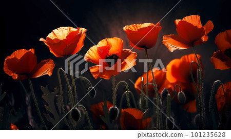 Red poppies as a symbol of memory for the fallen in the war. VE-Day, World War remembrance day. Generative AI illustration 101235628
